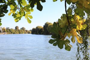 Nogent-sur-Marne ville fleurie 2019