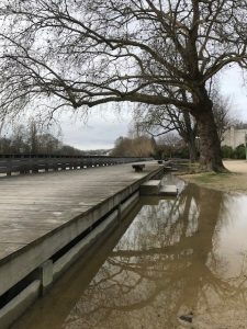 crue-terrasses fevrier 2021 Nogent-sur-Marne